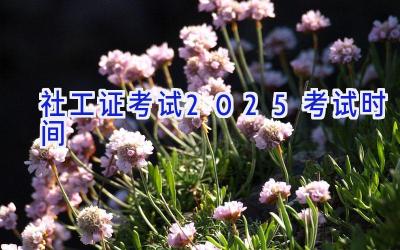 社工证考试2025考试时间