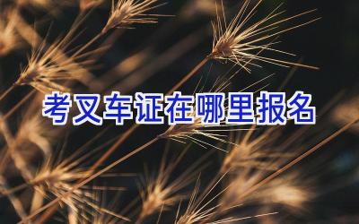 考叉车证在哪里报名