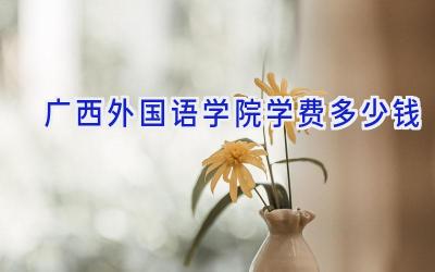 广西外国语学院学费多少钱