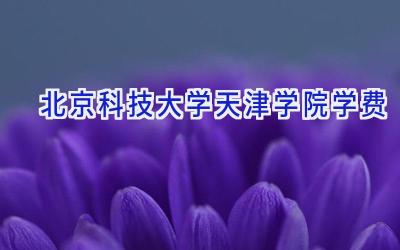 北京科技大学天津学院学费