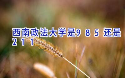西南政法大学是985还是211
