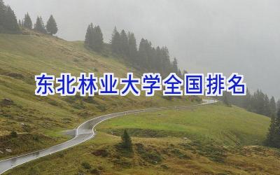 东北林业大学全国排名