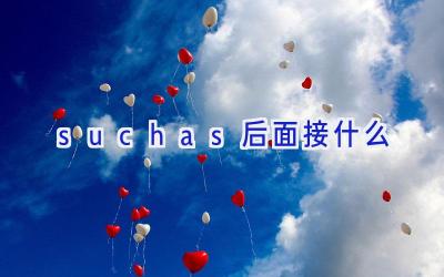 such as后面接什么