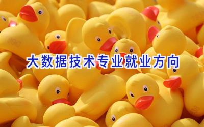 大数据技术专业就业方向