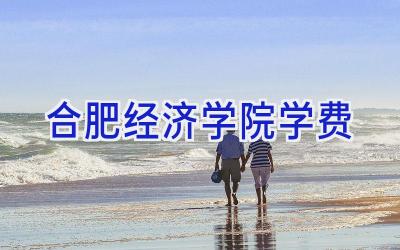 合肥经济学院学费