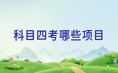 科目四考哪些项目