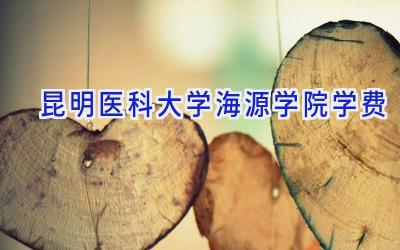 昆明医科大学海源学院学费