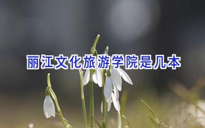丽江文化旅游学院是几本