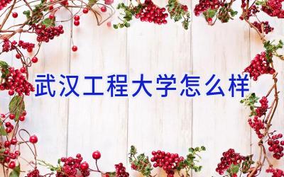 武汉工程大学怎么样