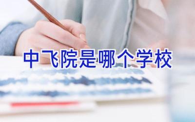 中飞院是哪个学校