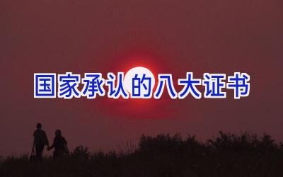 国家承认的八大证书