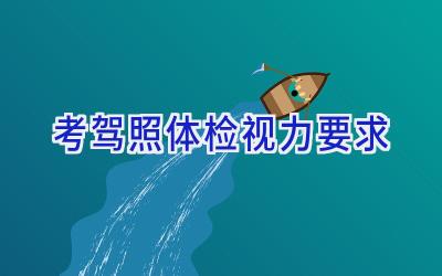 考驾照体检视力要求