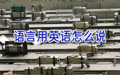 语言用英语怎么说