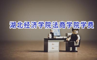 湖北经济学院法商学院学费
