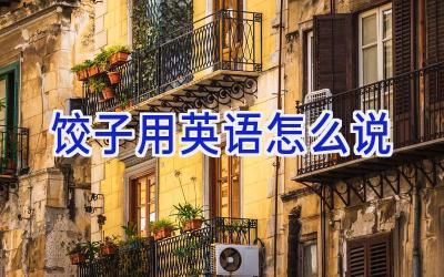 饺子用英语怎么说