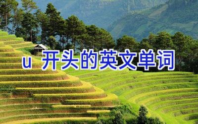 u开头的英文单词