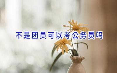 不是团员可以考公务员吗