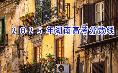 2025年湖南高考分数线
