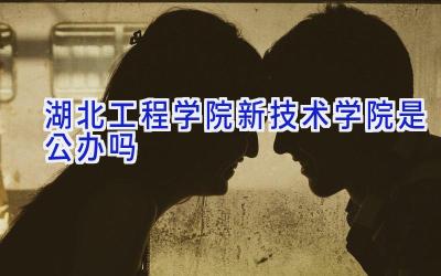 湖北工程学院新技术学院是公办吗