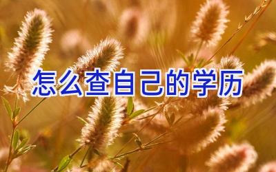 怎么查自己的学历