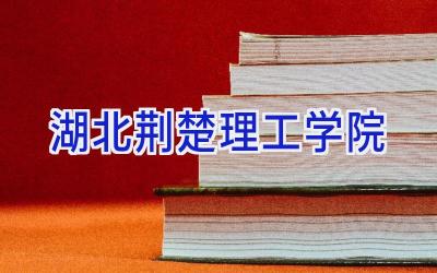湖北荆楚理工学院