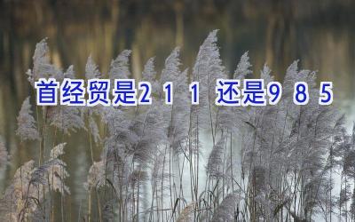 首经贸是211还是985
