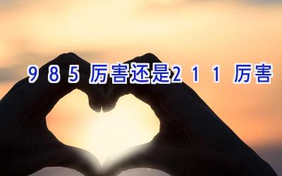 985厉害还是211厉害