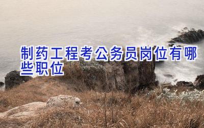 制药工程考公务员岗位有哪些职位