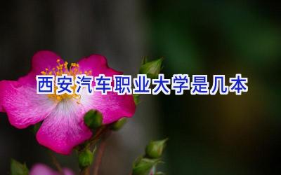 西安汽车职业大学是几本