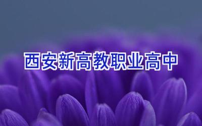 西安新高教职业高中