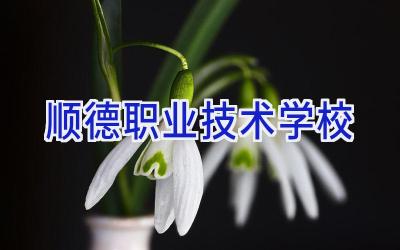 顺德职业技术学校