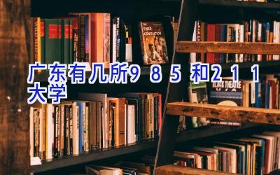 广东有几所985和211大学