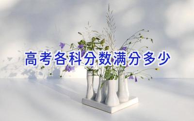 高考各科分数满分多少
