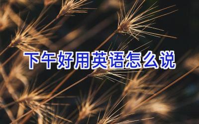 下午好用英语怎么说