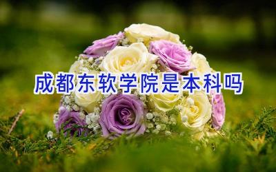 成都东软学院是本科吗