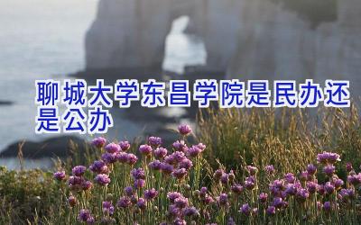 聊城大学东昌学院是民办还是公办