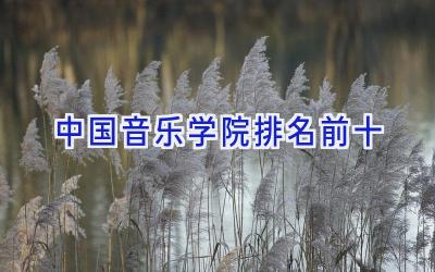 中国音乐学院排名前十