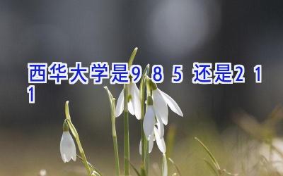 西华大学是985还是211