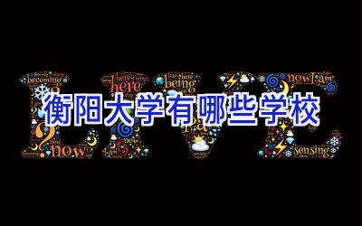 衡阳大学有哪些学校