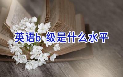 英语b级是什么水平