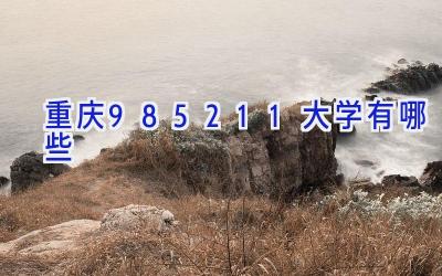 重庆985211大学有哪些