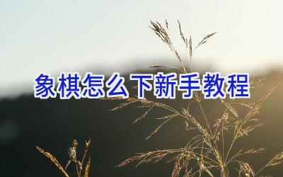 象棋怎么下新手教程