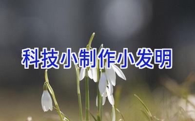 科技小制作小发明