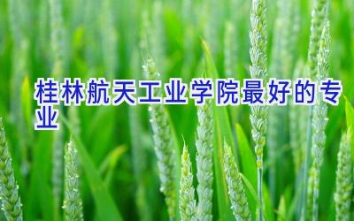 桂林航天工业学院最好的专业