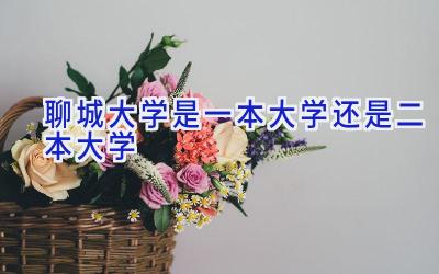 聊城大学是一本大学还是二本大学