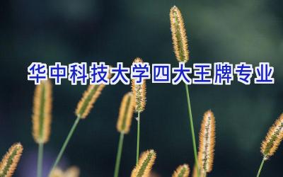 华中科技大学四大王牌专业
