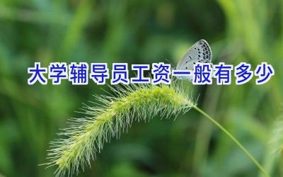 大学辅导员工资一般有多少