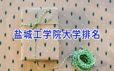 盐城工学院大学排名