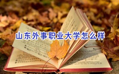 山东外事职业大学怎么样