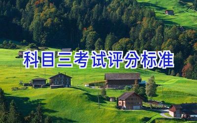 科目三考试评分标准